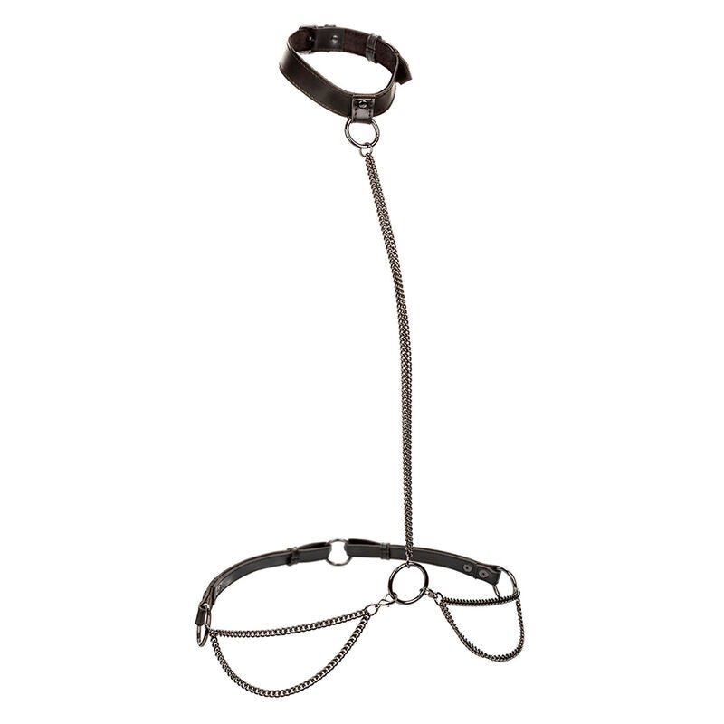 CALEXOTICS - EUPHORIA CHAIN HALTER COLLAR & LEASH PLUS SIZE - Kink&Play