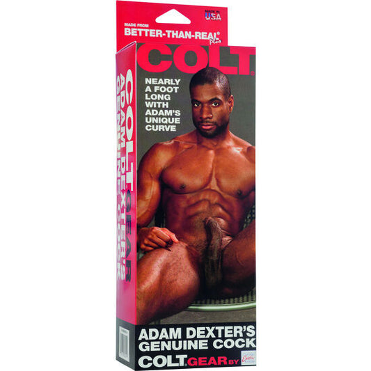 CALEXOTICS - COLT ADAM DEXTERS TUPP