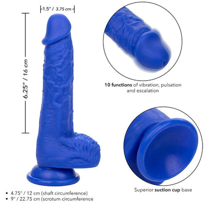 CALEXOTICS - ADMIRAL SAILOR REALISTIC DILDO VIBRATOR BLUE - Kink&Play