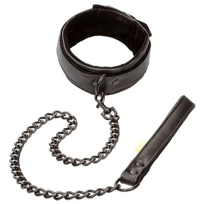 CALEXOTICS - BOUNDLESS COLLAR AND LEASH - Kink&Play