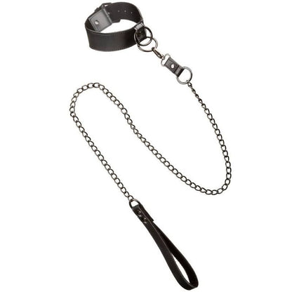 CALEXOTICS - EUPHORIA COLLAR WITH CHAIN LEASH - Kink&Play