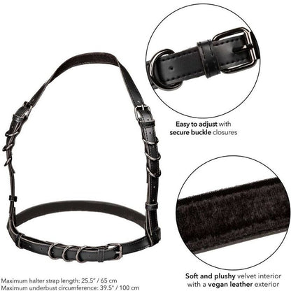 CALEXOTICS - EUPHORIA HALTER BUCKLE HARNESS BLACK - Kink&Play