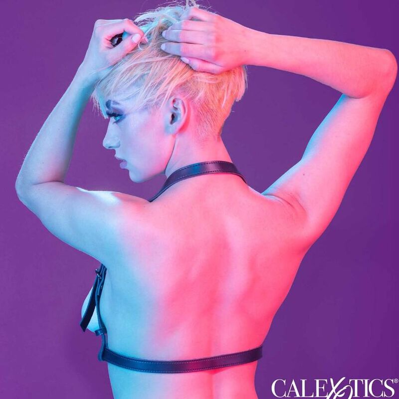 CALEXOTICS - EUPHORIA HALTER BUCKLE HARNESS BLACK - Kink&Play