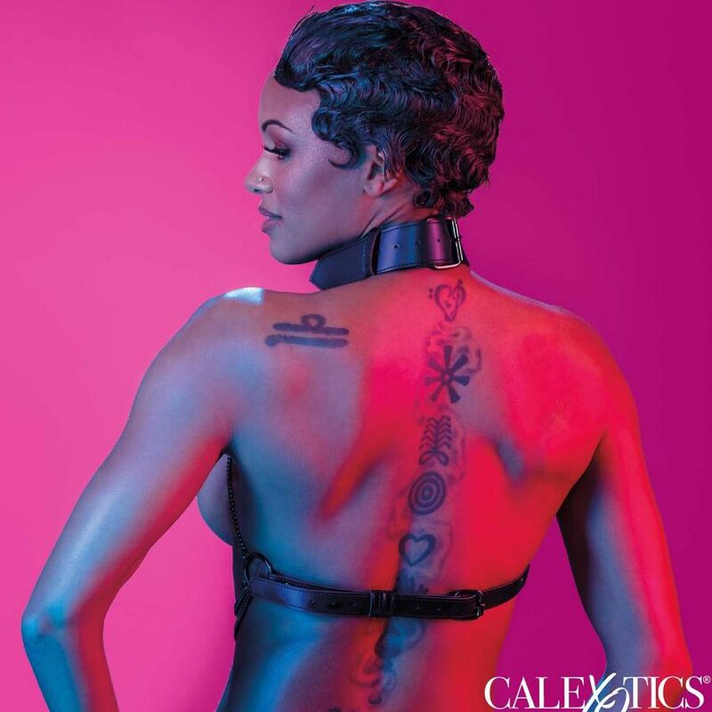 CALEXOTICS - EUPHORIA MULTI CHAIN COLLAR HARNESS - Kink&Play