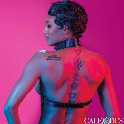 CALEXOTICS - EUPHORIA MULTI CHAIN COLLAR HARNESS - Kink&Play