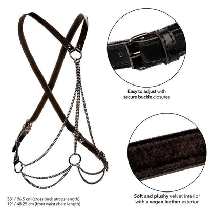 CALEXOTICS - EUPHORIA MULTICHAIN HARNESS PREMIUM PLUS SIZE - Kink&Play