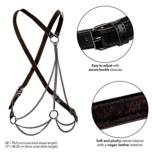 CALEXOTICS - EUPHORIA MULTICHAIN HARNESS PREMIUM PLUS SIZE - Kink&Play