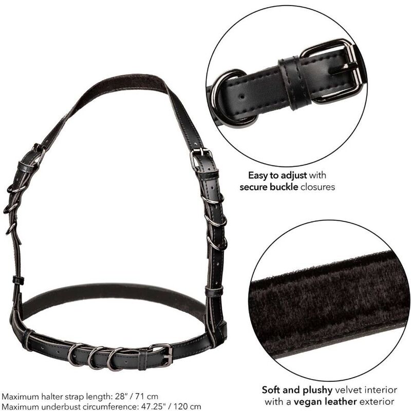 CALEXOTICS - EUPHORIA PLUS SIZE HALTER BUCKLE HARNESS BLACK - Kink&Play