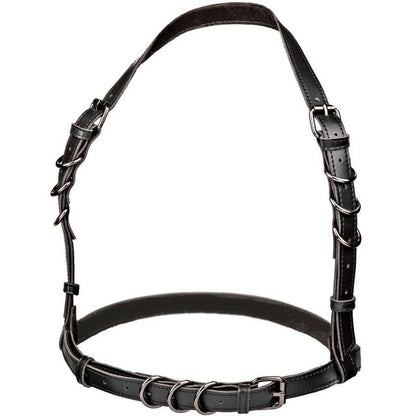 CALEXOTICS - EUPHORIA PLUS SIZE HALTER BUCKLE HARNESS BLACK - Kink&Play