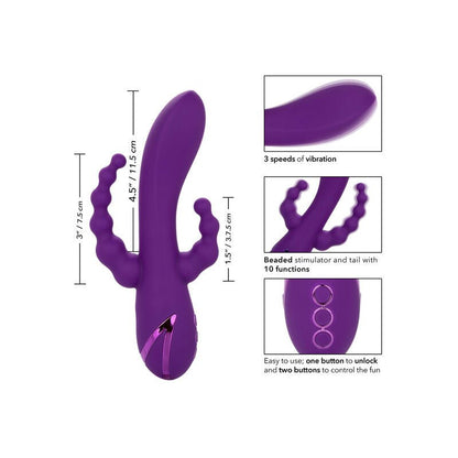 CALEXOTICS - LONG BEACH BOOTYLICIOUS PURPLE - Kink&Play