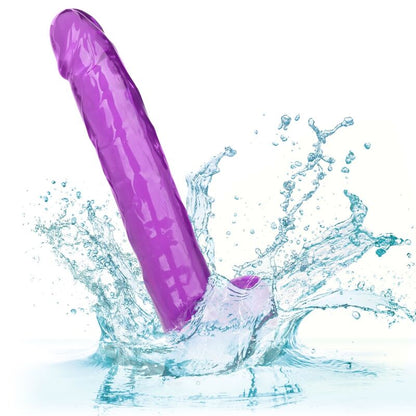 CALEXOTICS - SIZE QUEEN DILDO PURPLE 25.5 CM - Kink&Play