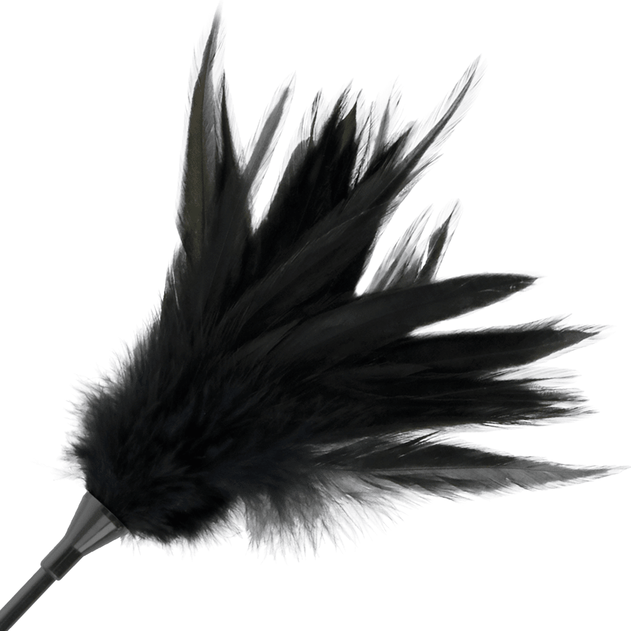 DARKNESS - BLACK FEATHER WHIP - Kink&Play