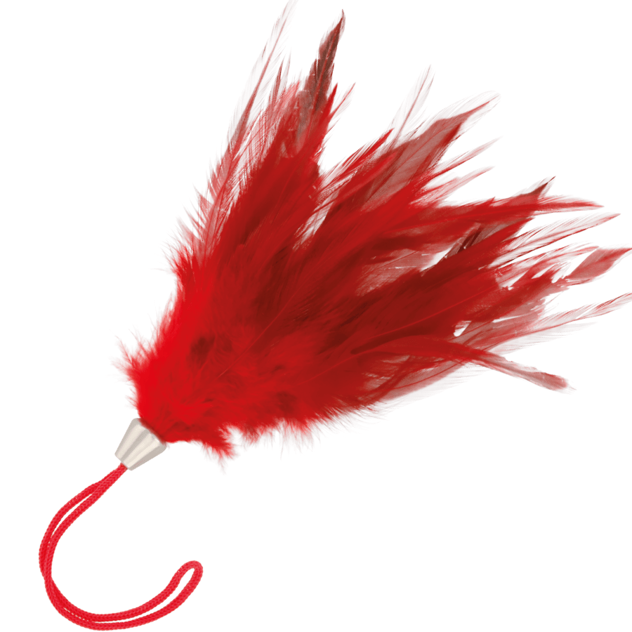 DARKNESS - RED STIMULATING PEN 17CM - Kink&Play