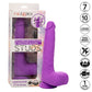 CALEXOTICS - UPPLADDNINGSBAR OCH ROTERANDE VIBRATOR MED STICKER 10 VIBRATIONER LILA