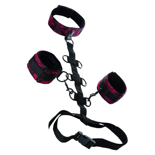 CALEXOTICS - SCANDAL COMPORAL SUPPORT WITH NECK