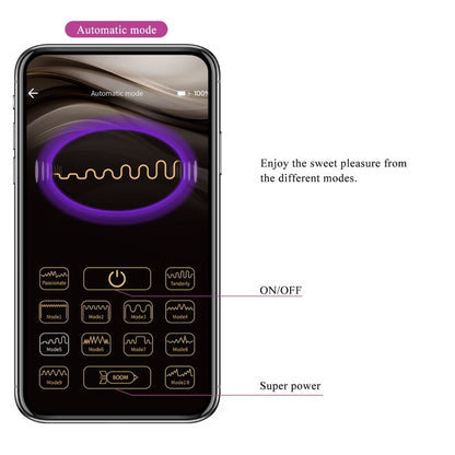 PRETTY LOVE - CASPER PURPLE RECHARGEABLE VIBRATING EGG - Kink&Play